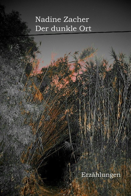 Der dunkle Ort, Nadine Zacher