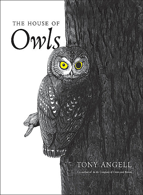 The House of Owls, Tony Angell