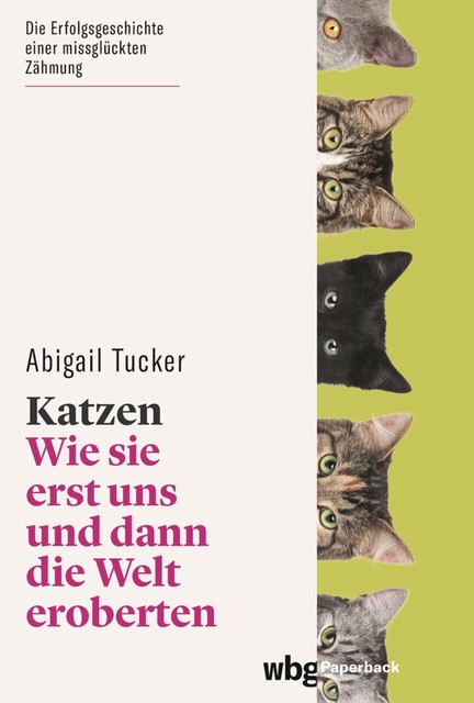 Katzen, Abigail Tucker