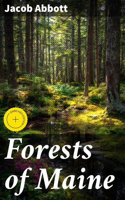 Forests of Maine, Jacob Abbott