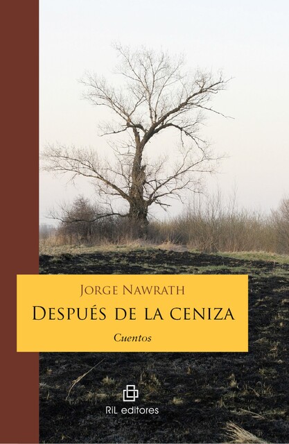 Después de la ceniza. Cuentos, Jorge Nawrath