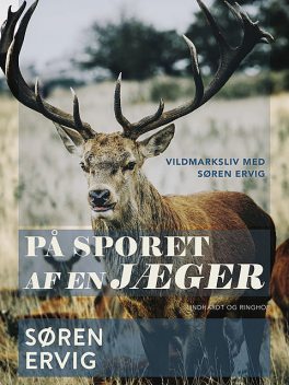 På sporet af en jæger, Søren Ervig