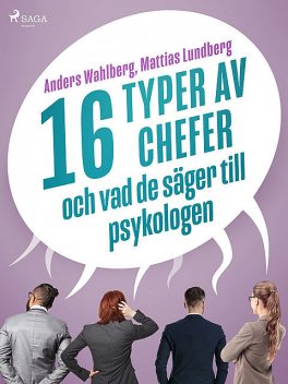 16 typer av chefer – och vad de säger till psykologen, Mattias Lundberg, Anders Wahlberg