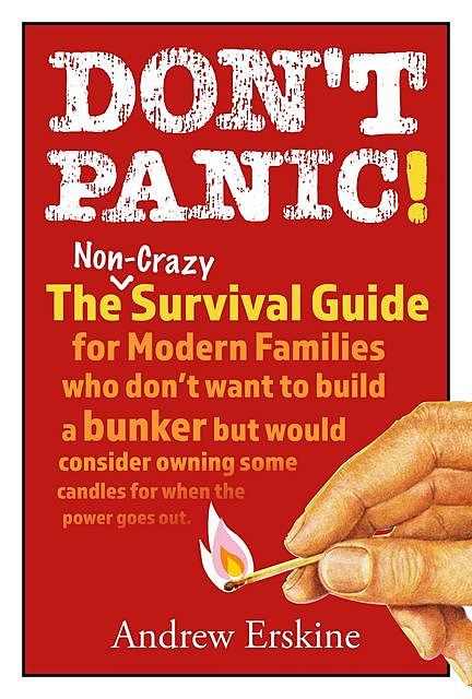 Don't Panic! The Non-Crazy Survival Guide For Modern Families, Andrew Erskine