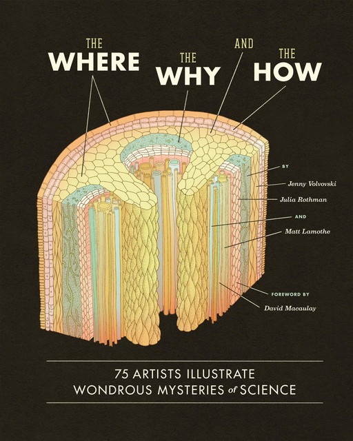 The Where, The Why, and The How, Julia Rothman, Jenny Volvovski, Matt Lamothe