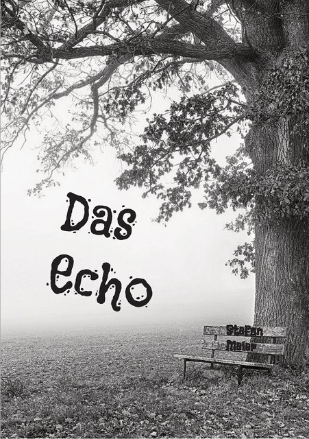 Das Echo, Stefan Meier