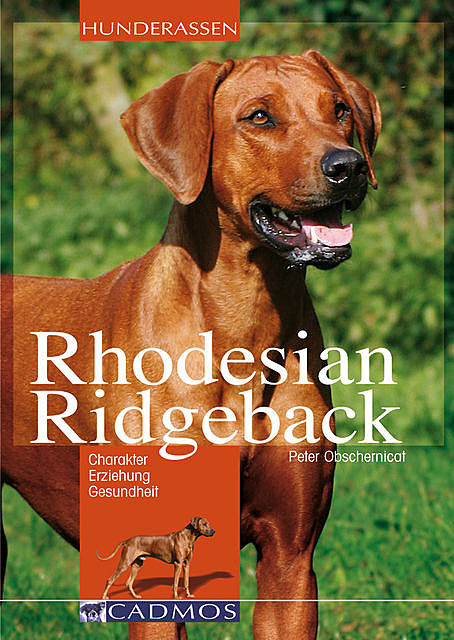Rhodesian Ridgeback, Peter Obschernicat