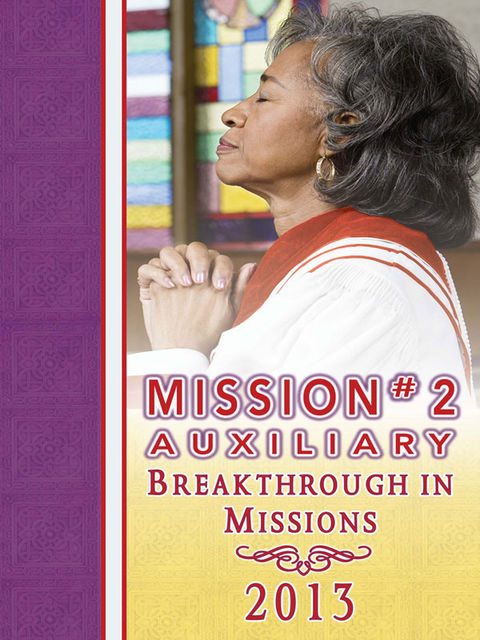 2013 Mission #2 Auxiliary Mission Guide, R.H.Boyd Publishing Corporation