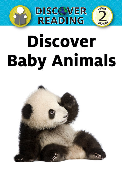 Discover Baby Animals, Xist Publishing