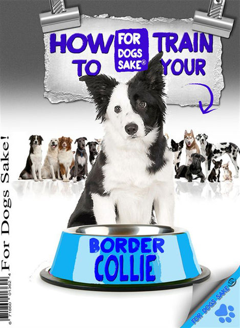How to Train Your Border Collie, Caroline Smith