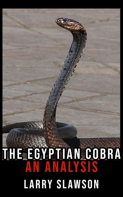 The Egyptian Cobra, Larry Slawson