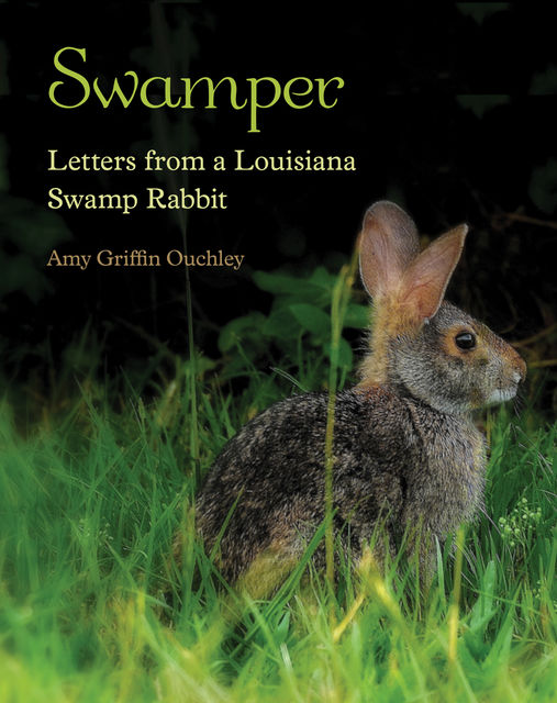 Swamper, Amy Griffin Ouchley