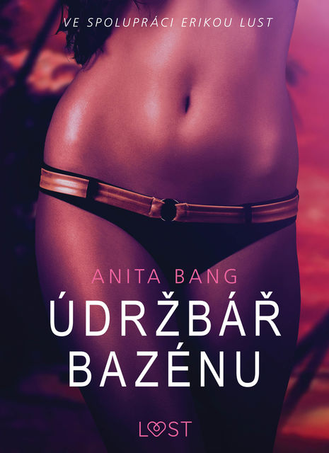 Údržbář bazénu – Sexy erotika, Anita Bang