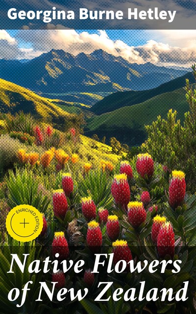 Native Flowers of New Zealand, Georgina Burne Hetley