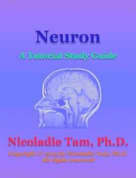 Neuron: A Tutorial Study Guide, Nicoladie Tam