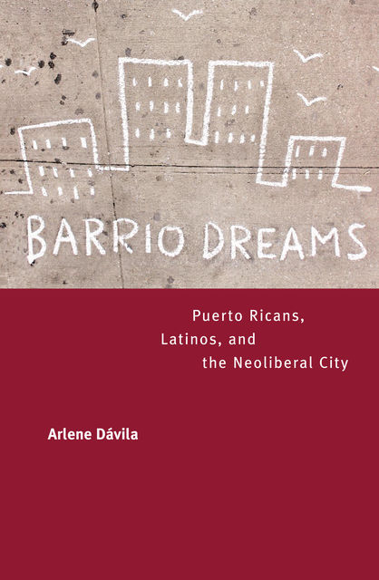 Barrio Dreams, Arlene Dávila
