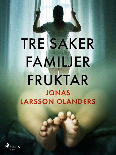 Tre saker familjer fruktar, Jonas Larsson Olanders