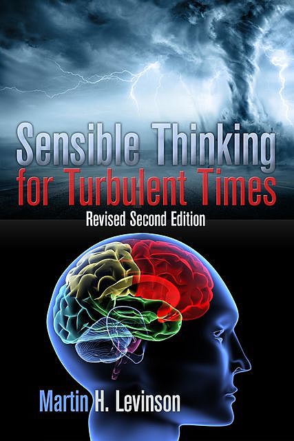 Sensible Thinking for Turbulent Times, Martin H. Levinson