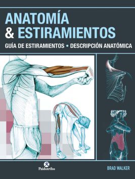 Anatomía & Estiramientos, Brad Walker