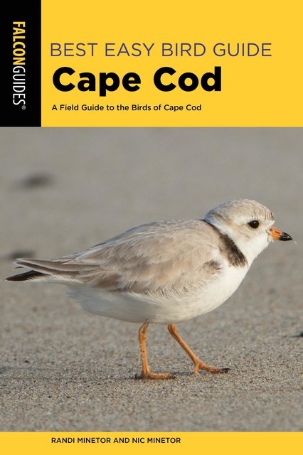 Best Easy Bird Guide Cape Cod, Randi Minetor, Nic Minetor
