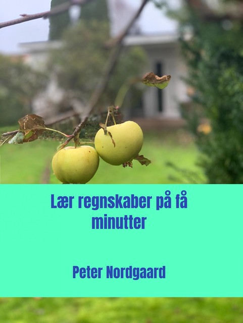 Lær regnskaber på få minutter, Peter Nordgaard
