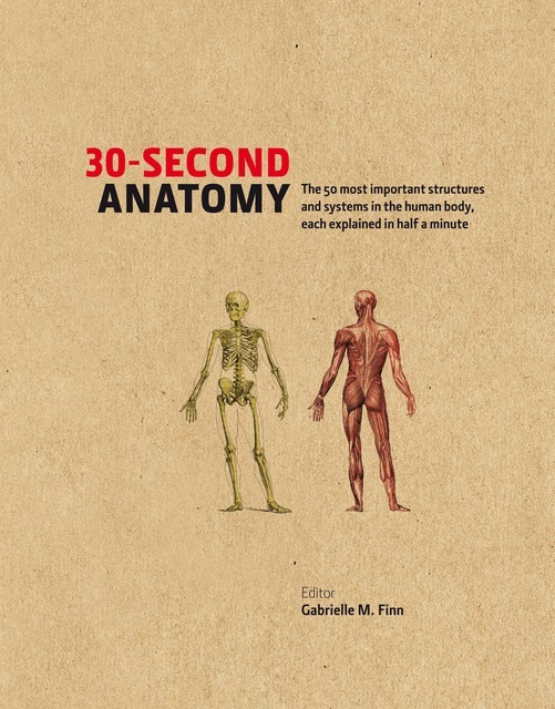 30-Second Anatomy, Gabrielle M.Finn