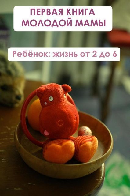 Ребенок: жизнь от двух до 6, Илья Мельников