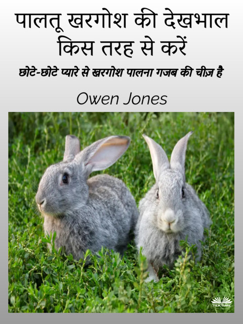 पालतू खरगोश की देखभाल किस तरह से करें-छोटे-छोटे प्यारे से खरगोश पालना गजब की चीज़ है, Owen Jones