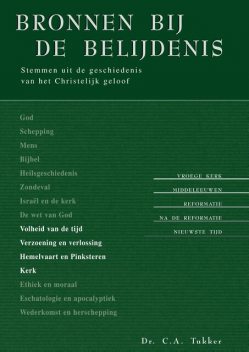 Bronnen bij de belijdenis 3, C. A Tukker