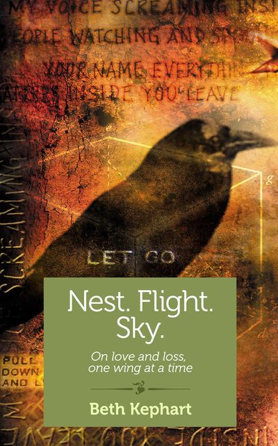 Nest. Flight. Sky, Beth Kephart