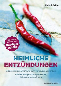 Heimliche Entzündungen, Silvia Bürkle