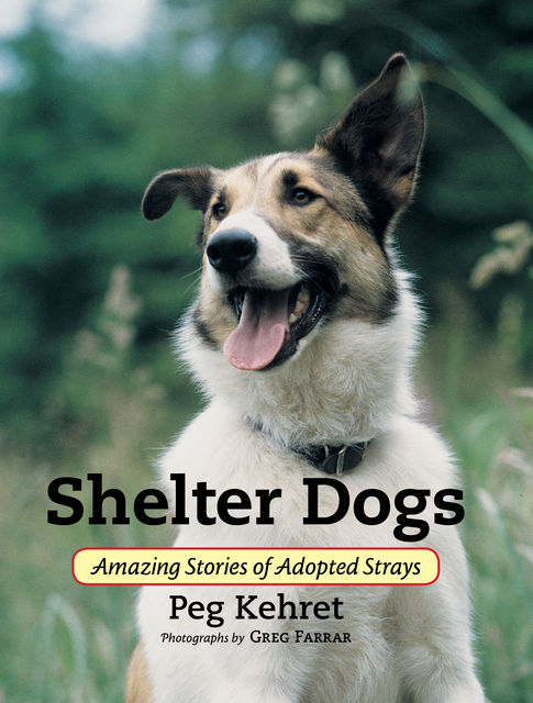 Shelter Dogs, Peg Kehret