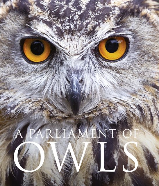 A Parliament of Owls, Mike Unwin