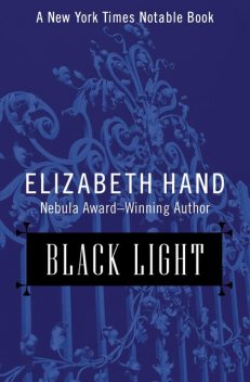 The Last Light, Elizabeth Hand