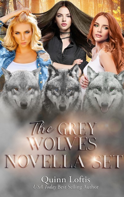 The Grey Wolves Novella Collection, Quinn Loftis