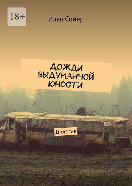 Дожди выдуманной юности, Сойер Илья