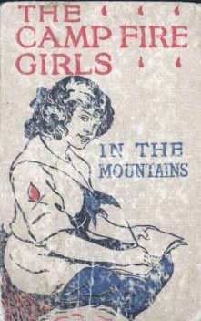 The Camp Fire Girls in the Mountains / or Bessie King's Strange Adventure, Jane L.Stewart