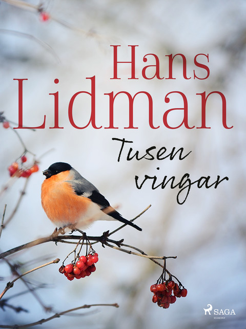 Tusen vingar, Hans Lidman