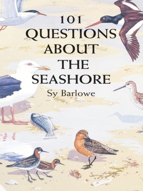 101 Questions About the Seashore, Sy Barlowe
