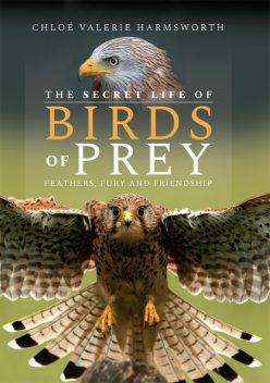 The Secret Life of Birds of Prey, Chloé Valerie Harmsworth