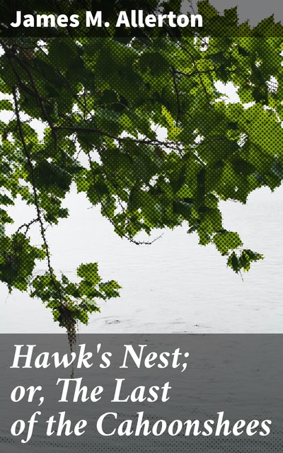 Hawk's Nest; or, The Last of the Cahoonshees, James M. Allerton