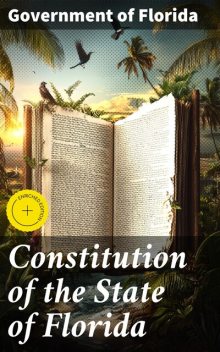 Constitution of the State of Florida, Government of Florida