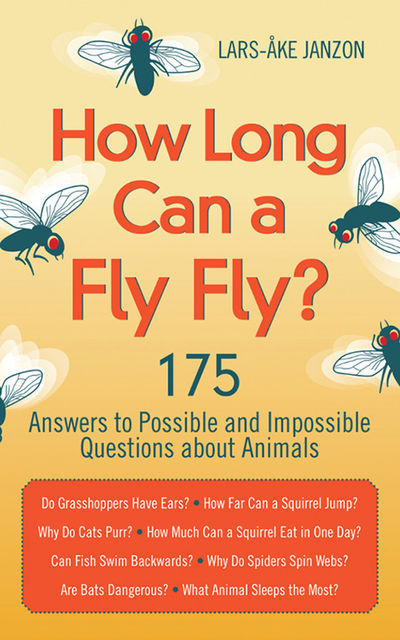 How Long Can a Fly Fly, Lars-Åke Janzon