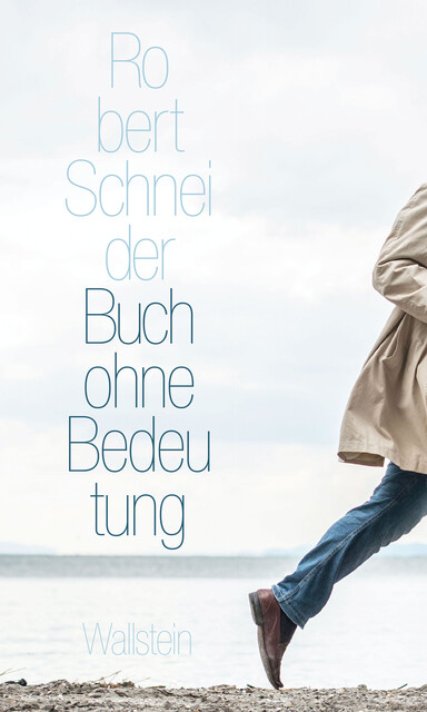Buch ohne Bedeutung, Robert Schneider
