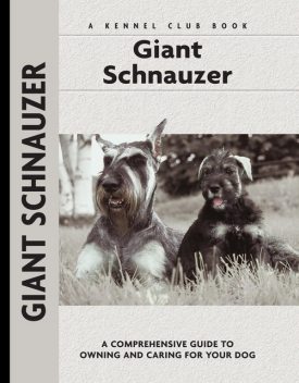 Giant Schnauzer, Barbara Andrews