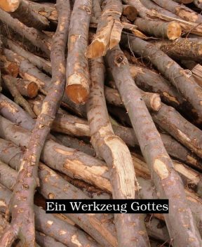 Ein Werkzeug Gottes, Uwe Plesotzky