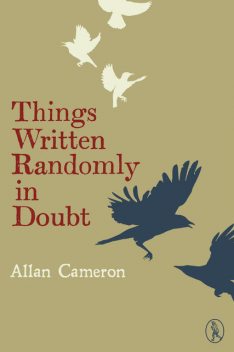 Things Written Randomly in Doubt, Allan Cameron