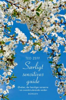 Særligt sensitives guide, Ted Zeff
