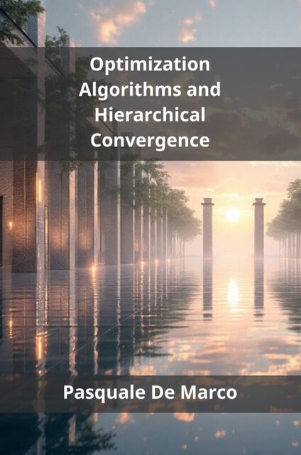 Optimization Algorithms and Hierarchical Convergence, Pasquale De Marco