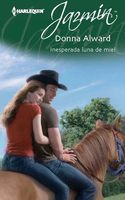 Inesperada luna de miel, Donna Alward